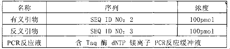 SNP rs11632814 of CYP1A2 gene and application thereof in relevant drug metabolism activity detection