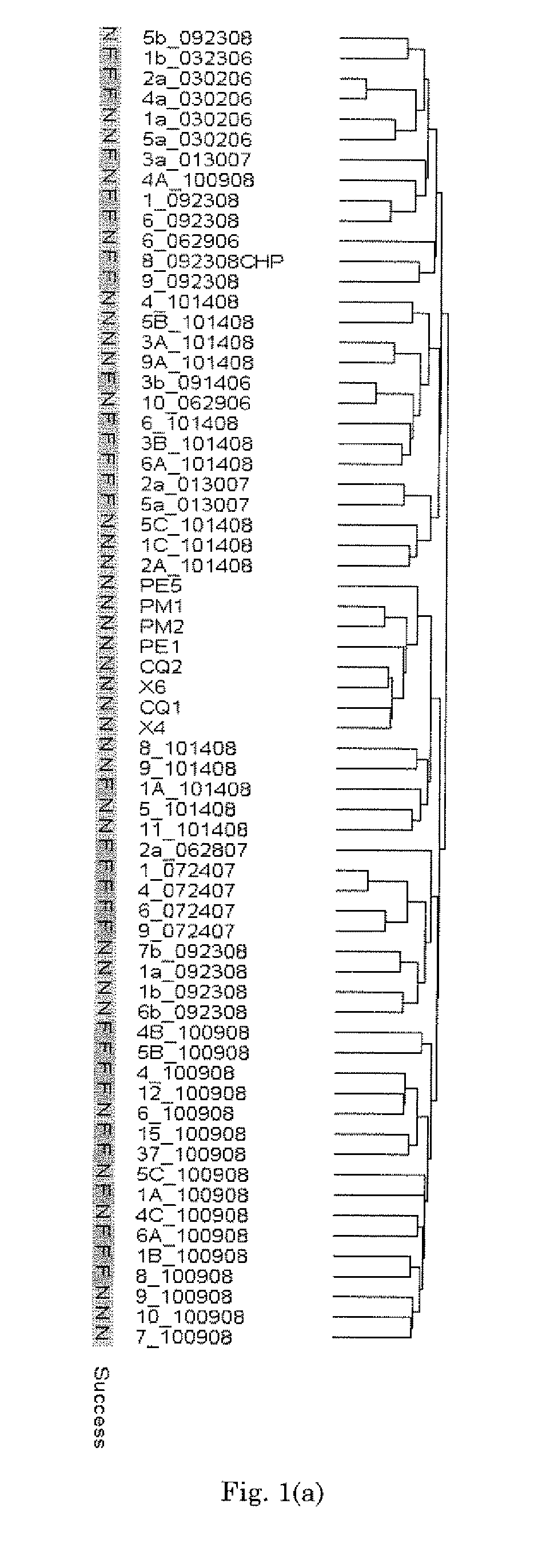 Genes differentially expressed by cumulus cells and assays using same to identify pregnancy competent oocytes