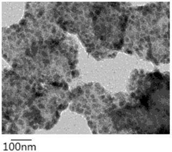 Immunoliposome based on Nrdp1 gene RNAi and miR-494 and application thereof