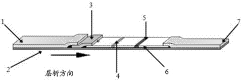 A rapid detection card for rabbit plague virus antibody and its preparation method