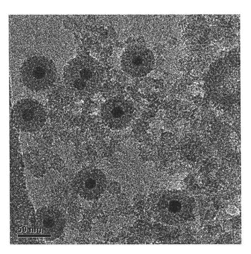 Preparation method of SPIO.SiO2-WGA (Wheat Germ Agglutinin) intestinal wall targeting contrast agent