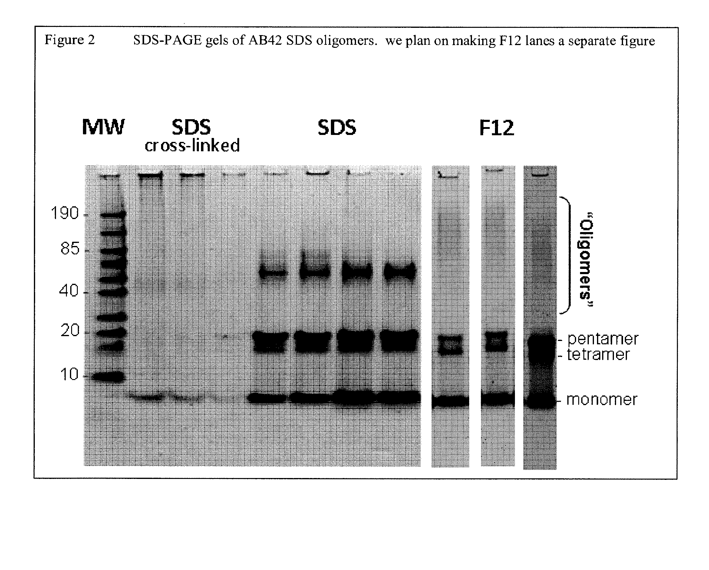 Stabilized amyloid-beta oligomers and uses thereof
