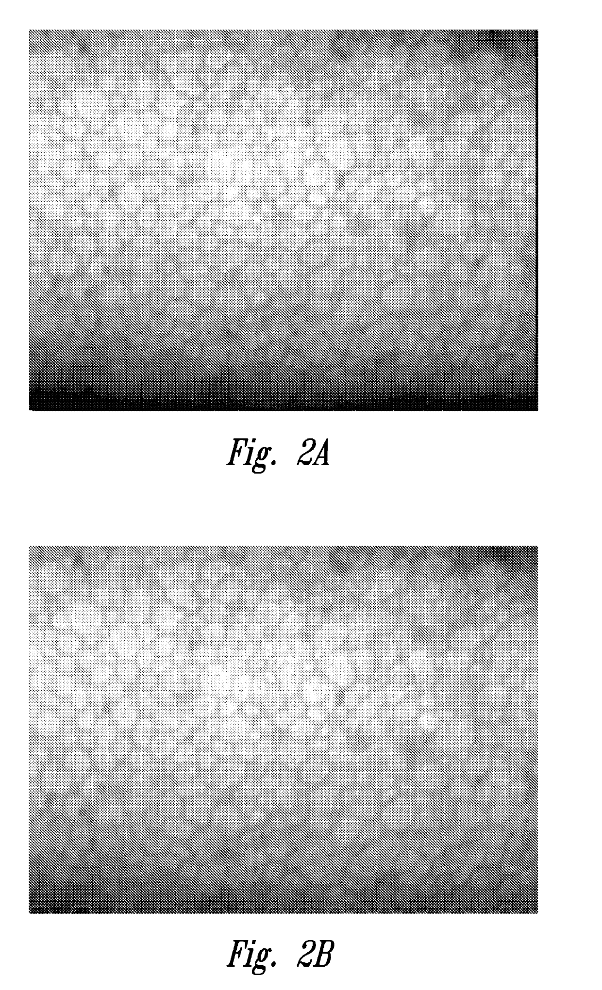 Method for assessing corneal tissue quality and endothelial cell density and morphology