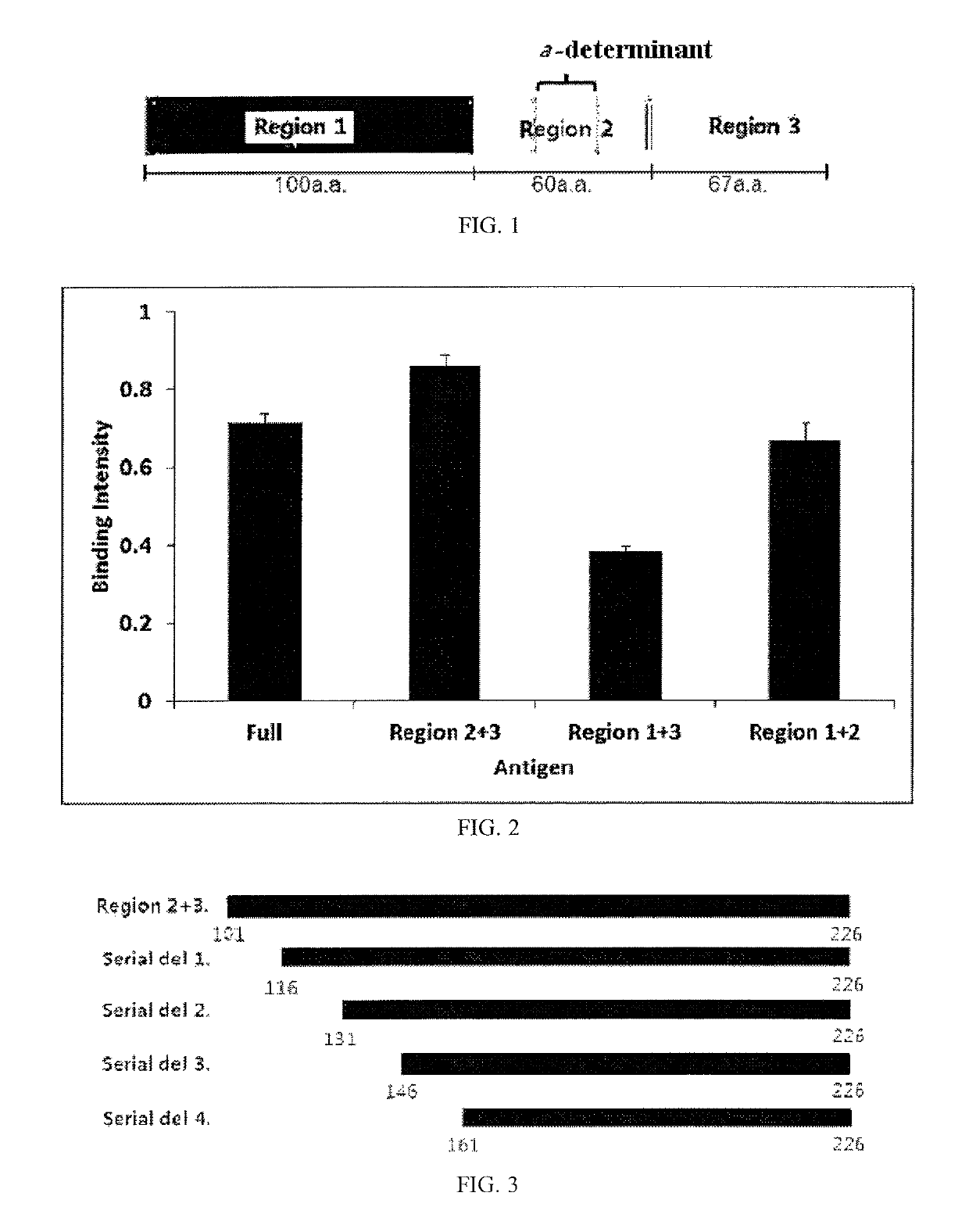 Epitope of hepatitis B virus surface antigen and binding molecule specifically binding to same for neutralizing hepatitis B virus