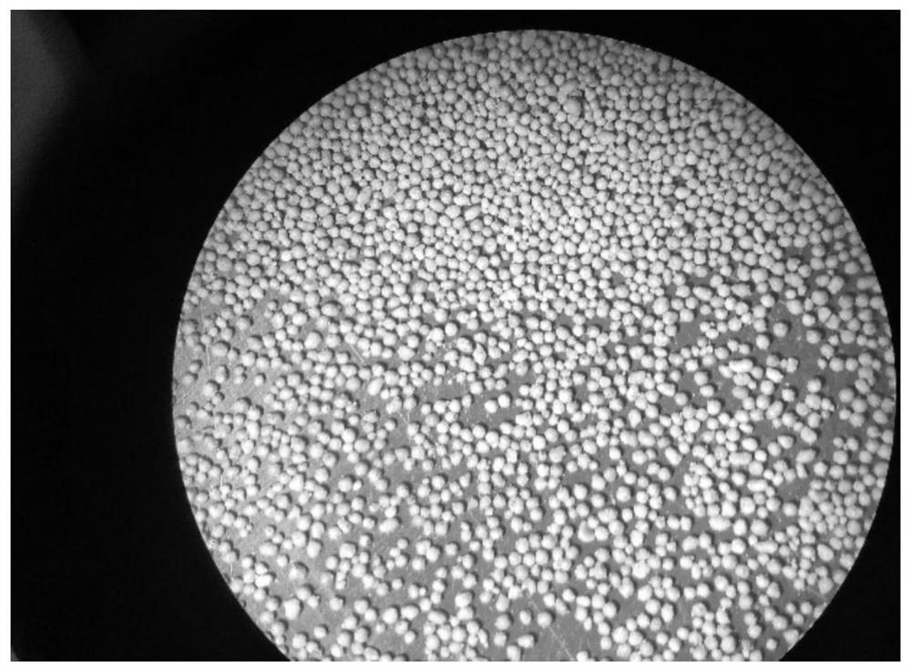 Cordierite-based ultralow-density high-strength petroleum fracturing propping agent and preparation method thereof