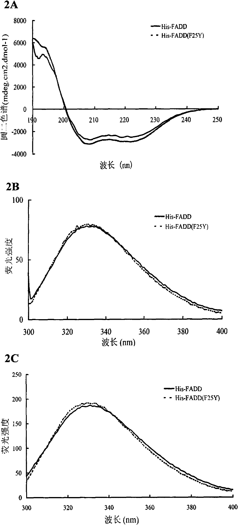 Preparation method of recombinant Fas-associated death domain protein and application thereof