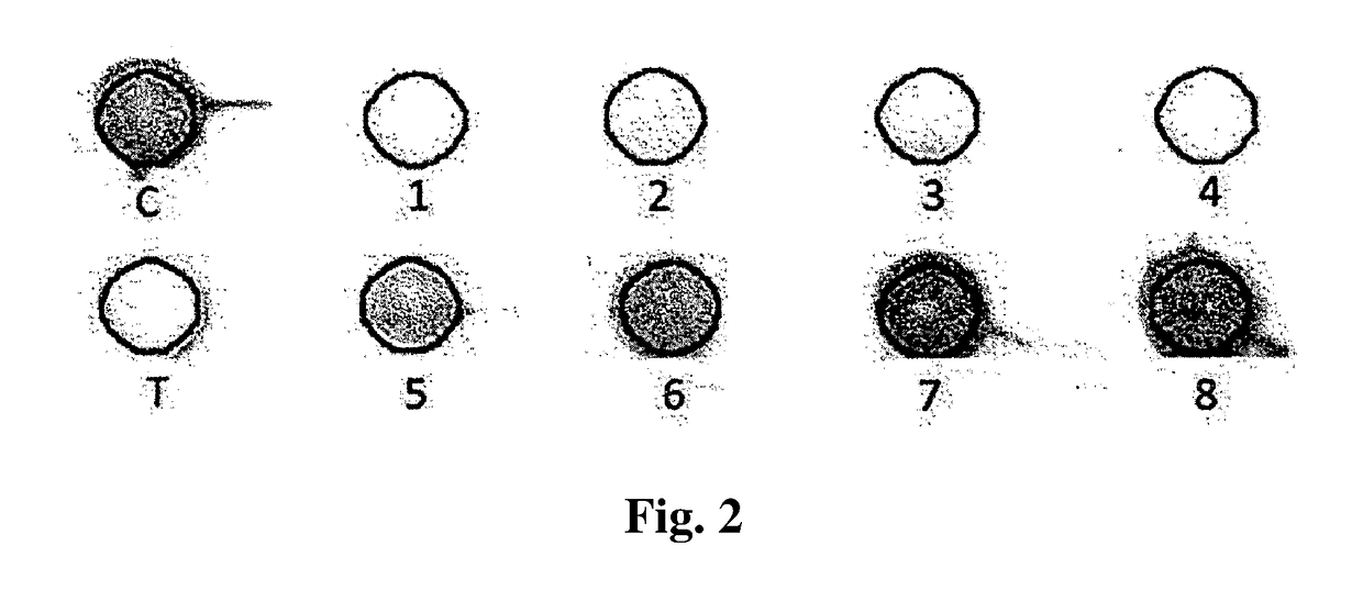 House dust mite allergy protein remover, and composition thereof