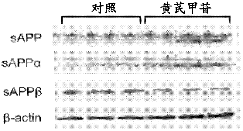 Application of Astragaloside IV