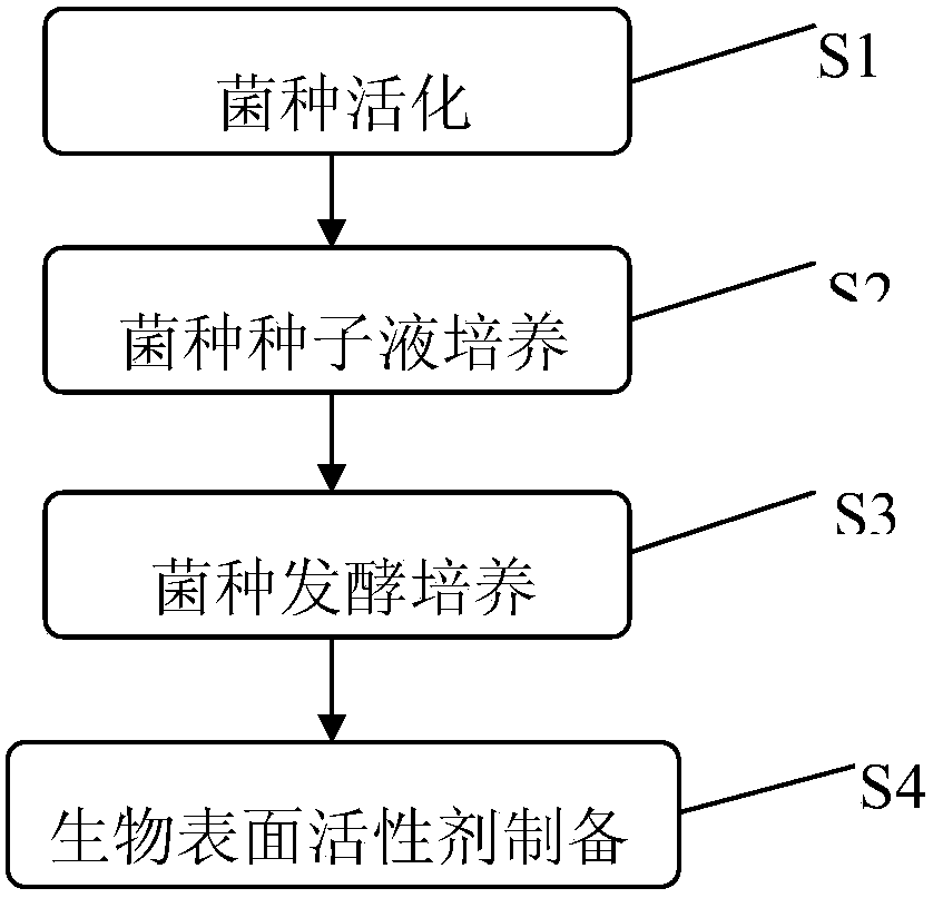 A kind of preparation method of rhodococcus producing surfactant