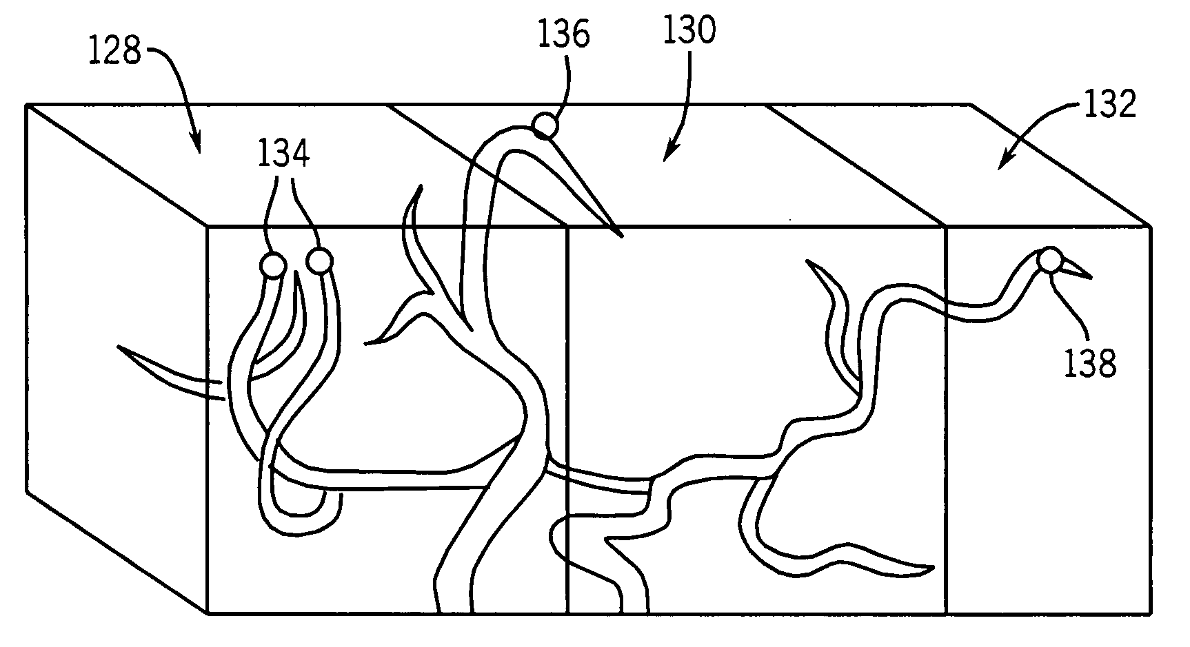 Vascular image extraction and labeling system and method