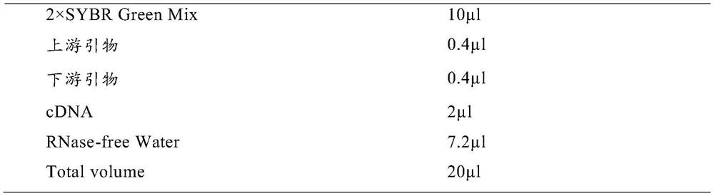 Triple inactivated vaccine for duck circovirus disease, novel duck reovirus disease and duck virus hepatitis and preparation method of triple inactivated vaccine