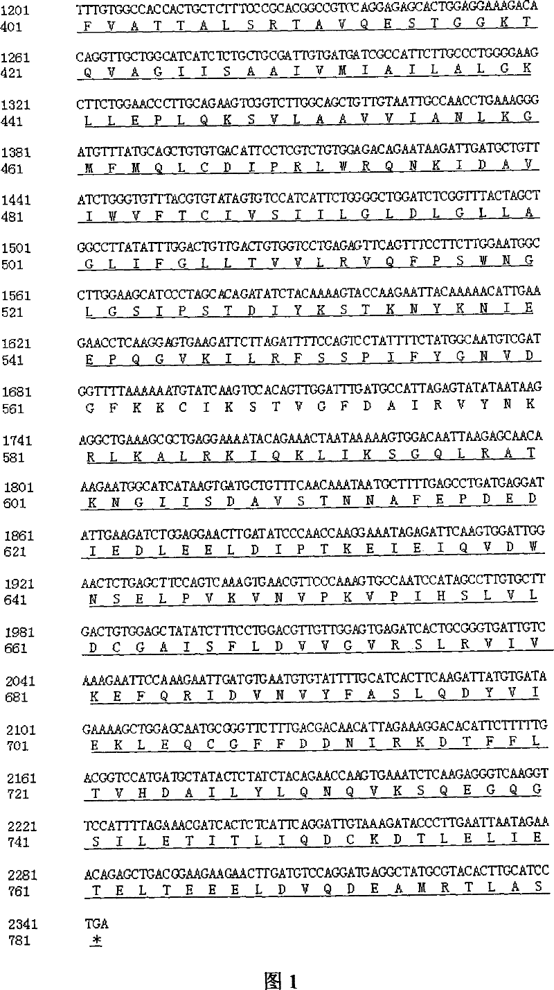 Reagent case for detecting 589G &gt;A mutation of large vestibular aqueduct related gene SLC26A4