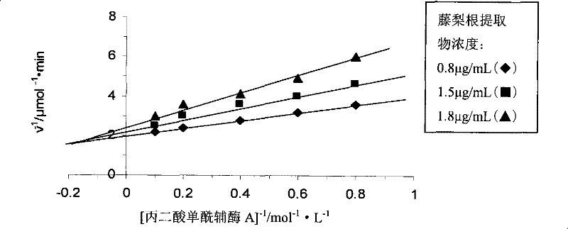 Extract of yangtao actinidia root and preparation method and applications thereof