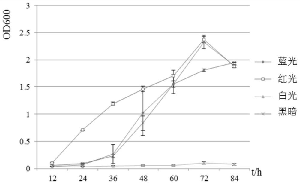 A preventive treatment method for kelp albinism