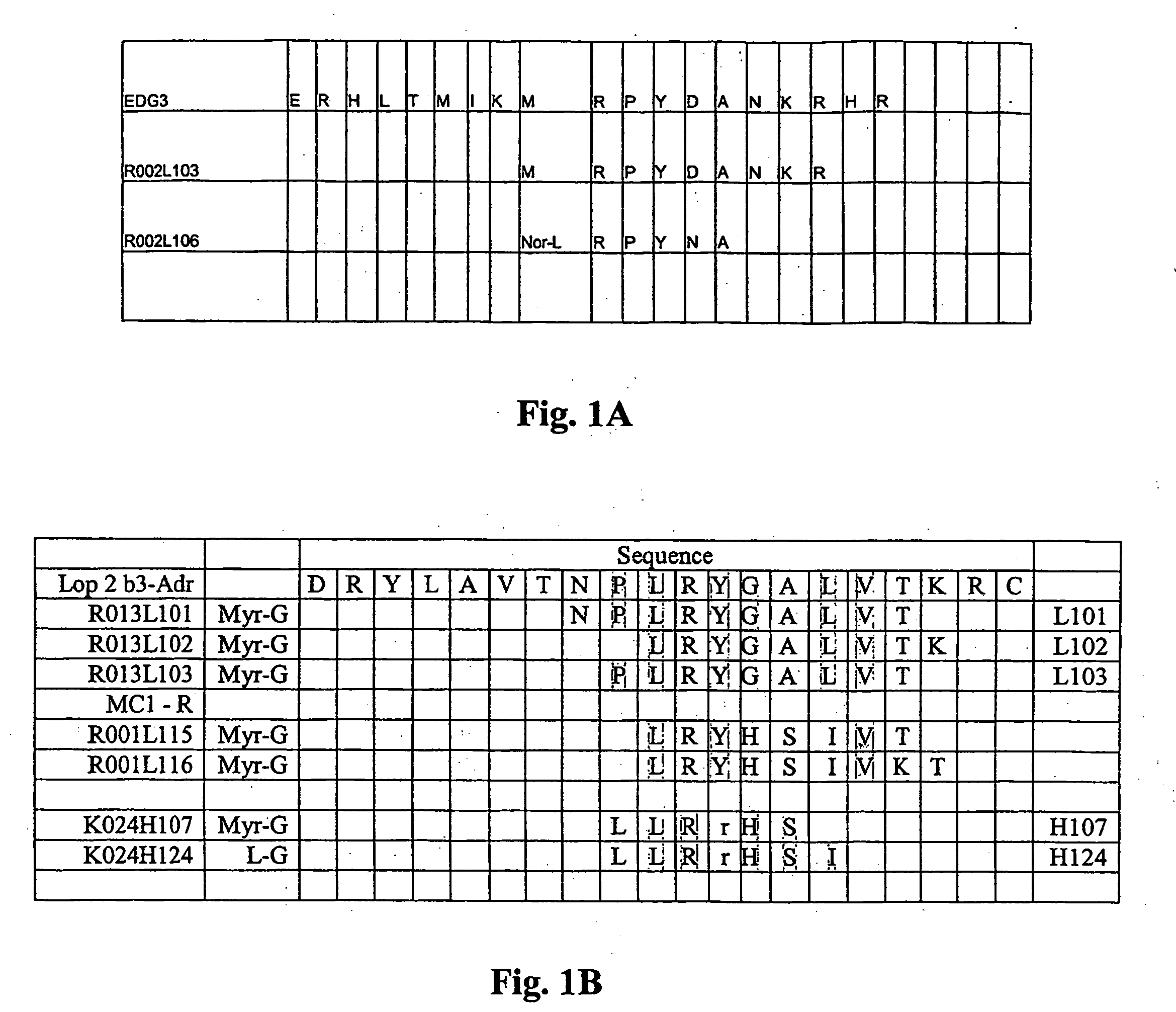 Short peptides from the '2nd loop' of 7 transmembrane receptor which selectively modulate signal transduction