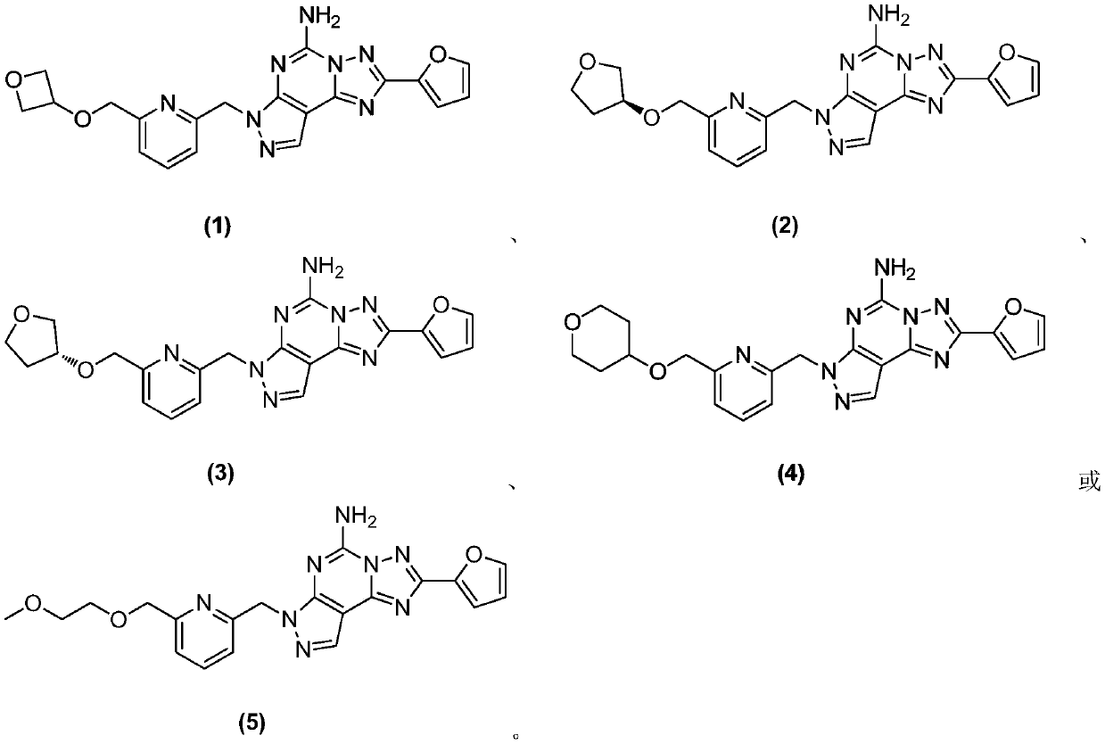 Nitrogen-containing fused tricyclic derivatives and application thereof
