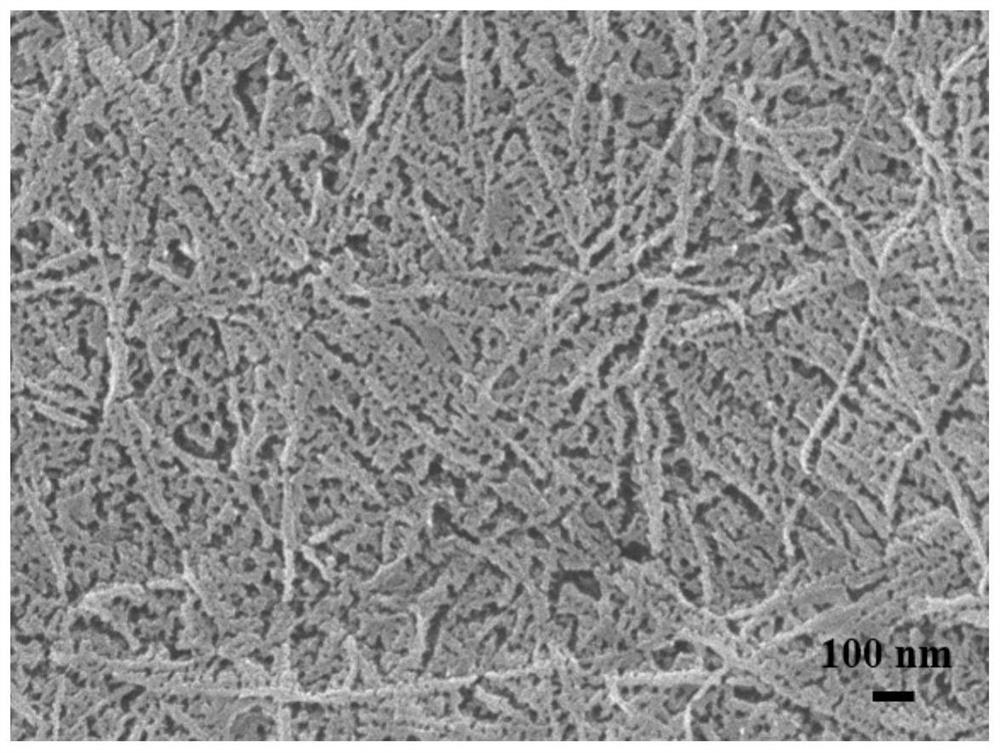 Preparation method of palladium-cellulose membrane capable of synchronizing emulsion separation and dye degradation