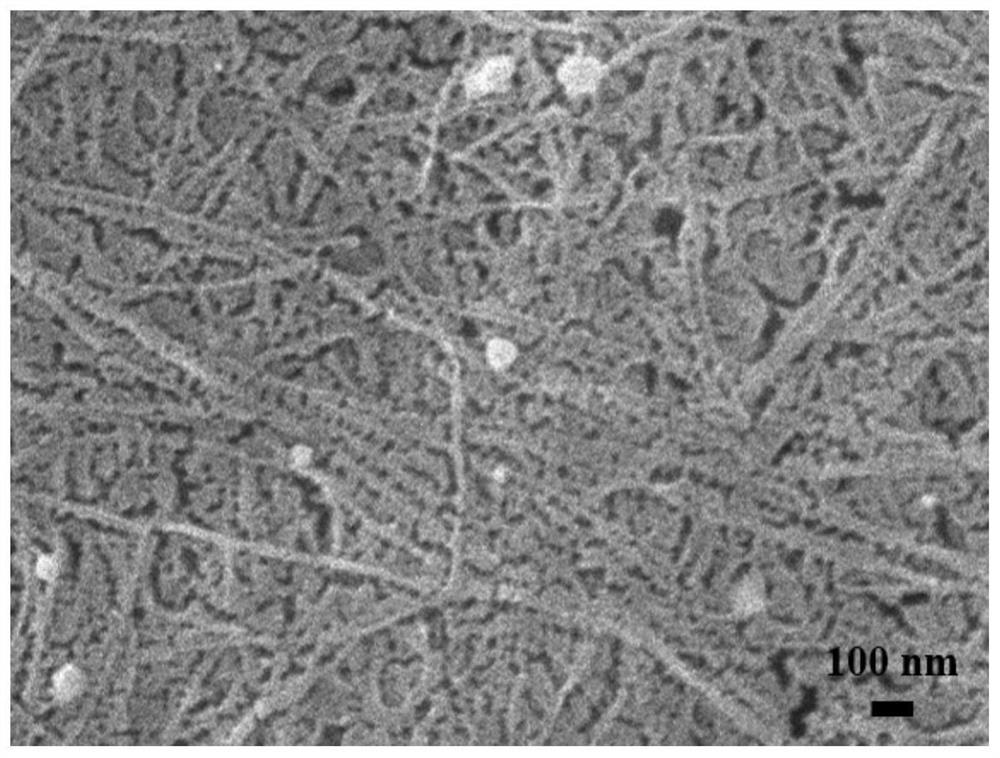 Preparation method of palladium-cellulose membrane capable of synchronizing emulsion separation and dye degradation