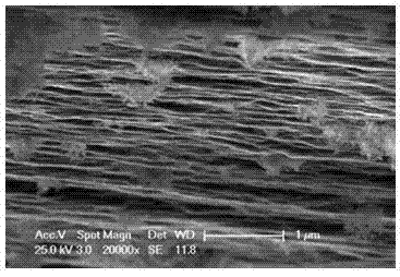 Preparation method of TiO2/graphene composite film