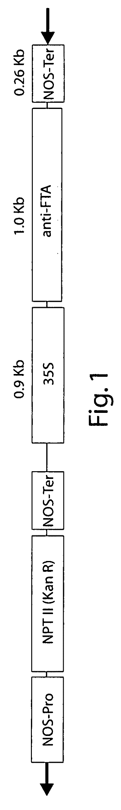 Compositions and Methods of Increasing Stress Tolerance in Plants