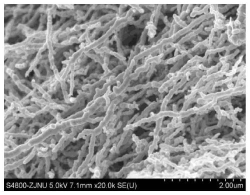 Preparation method and application of microwave absorbing diatom mud coating