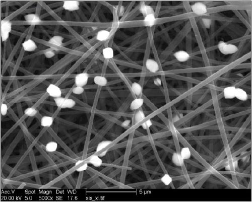 Preparation and application of tungsten disulphide nanosphere/carbon nano fibre composite material