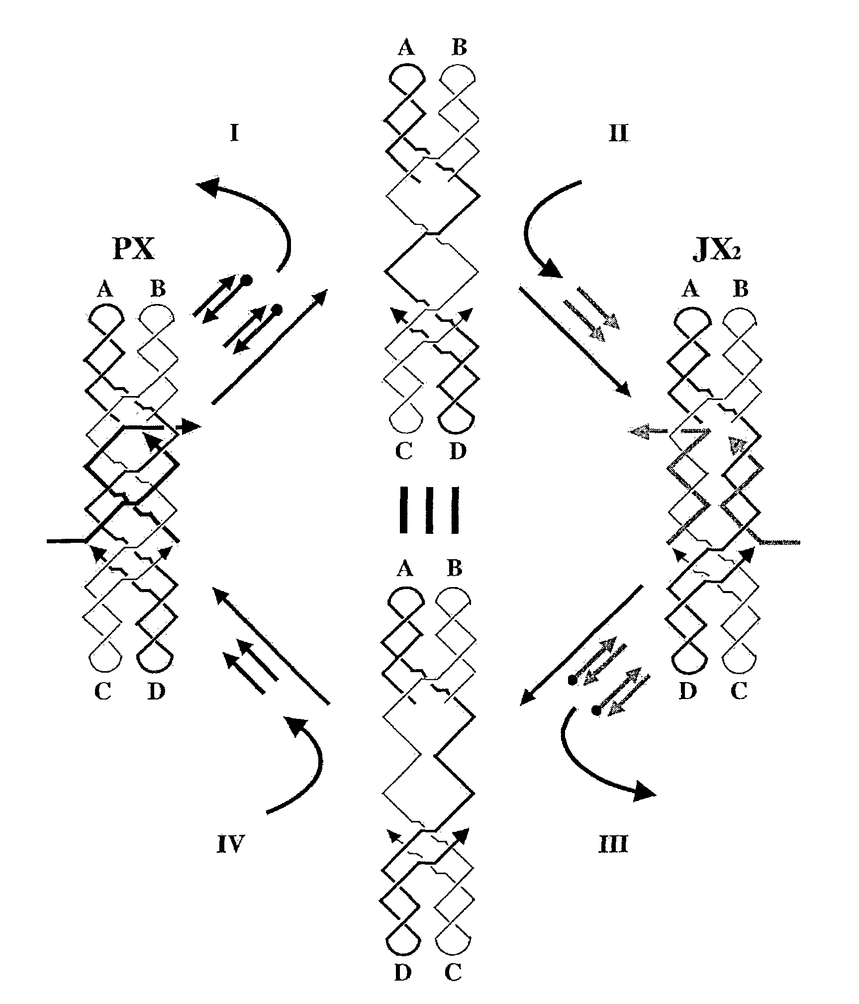 Polynucleic acid nanomechanical device controlled by hybridization topology
