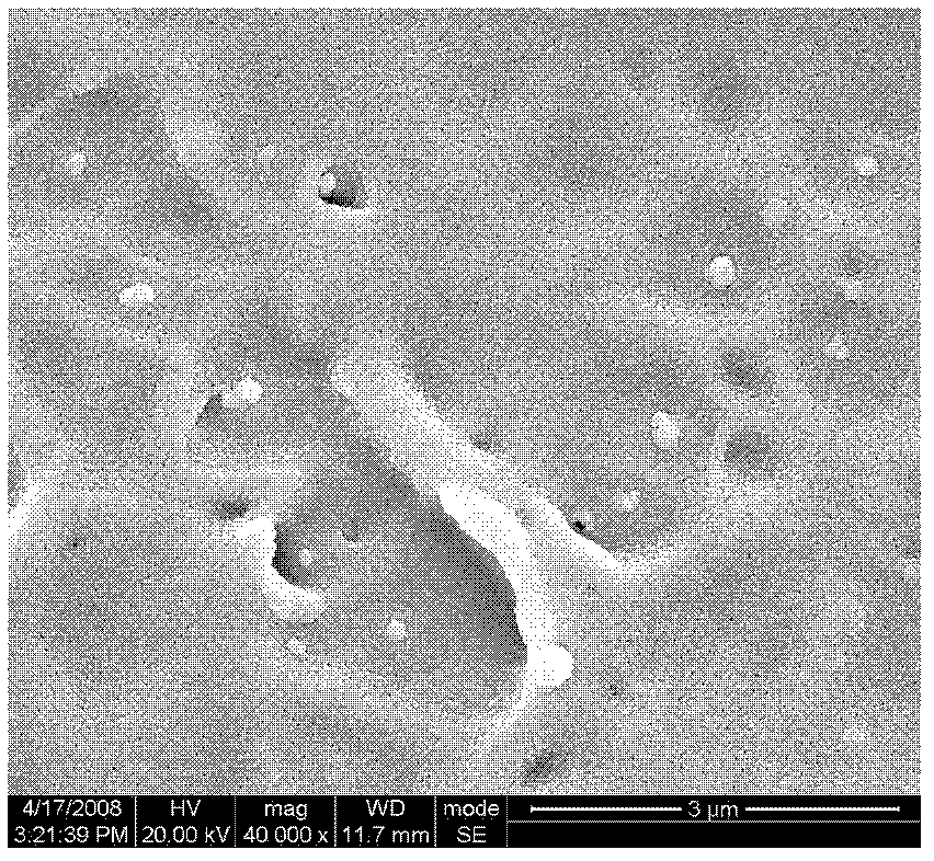 Disposable controlled completely-degradable plastic packing bag and preparation method thereof