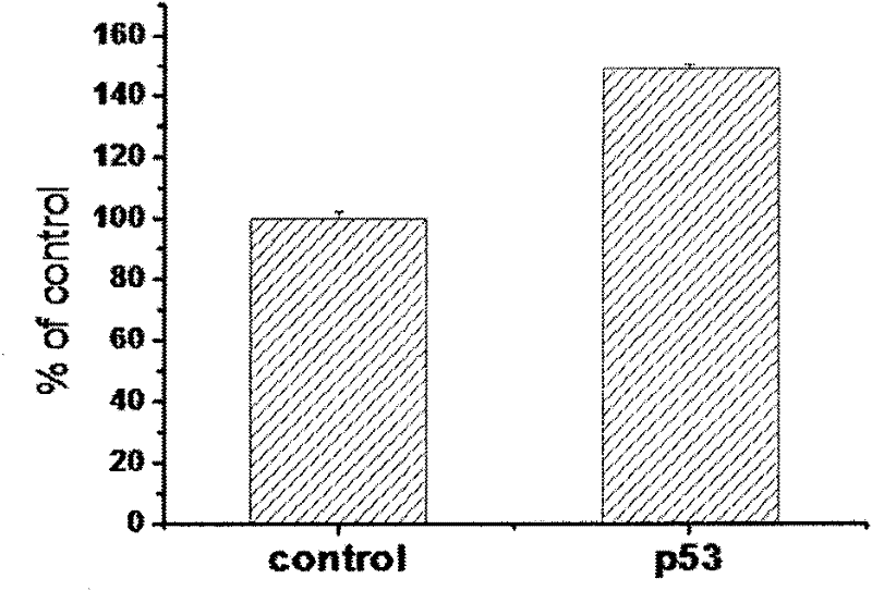 Method for enhance transport capability of gene mediated by non-viral vector