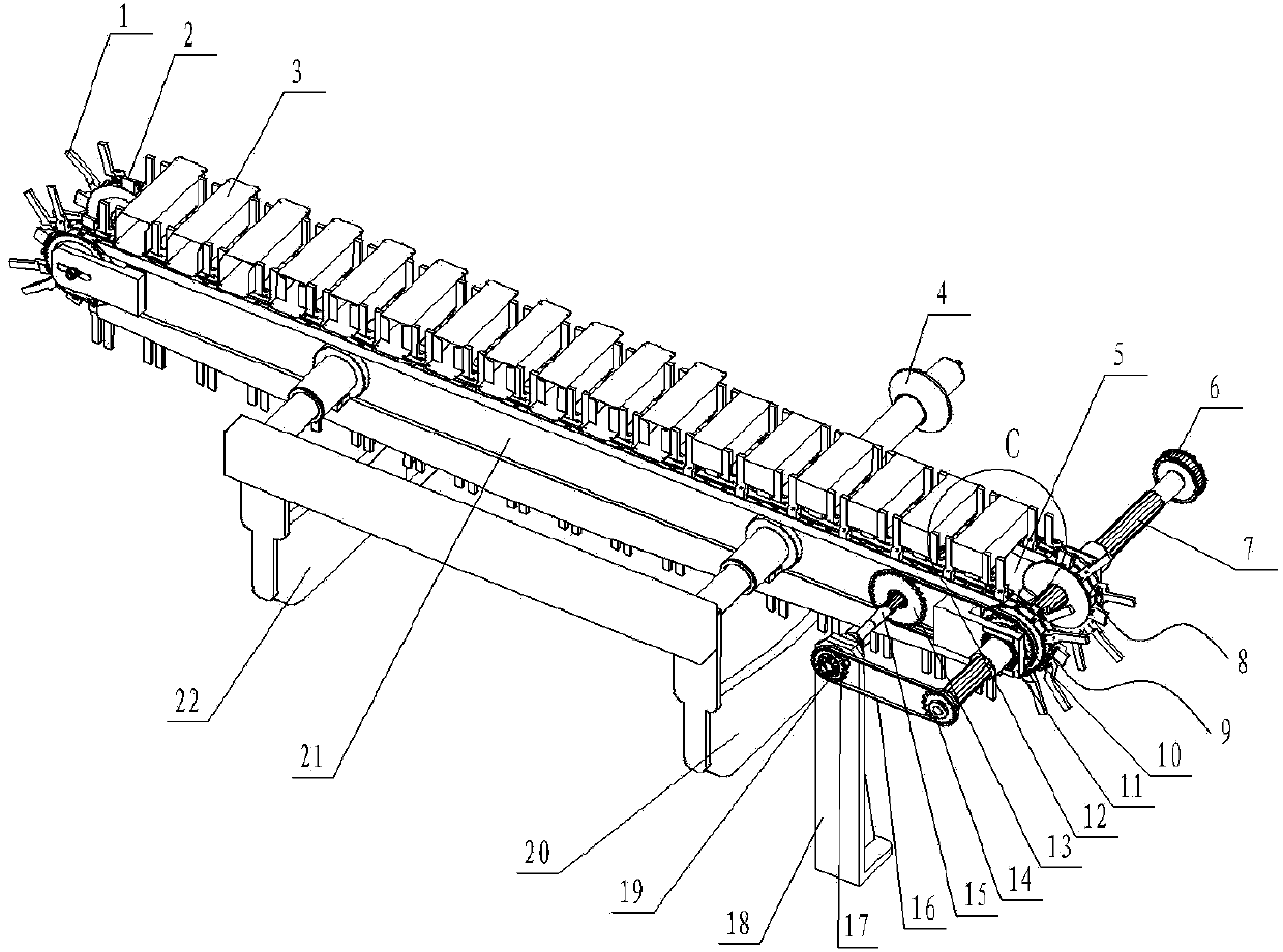 Carton continuous conveying and adjusting device adapted to various width specifications