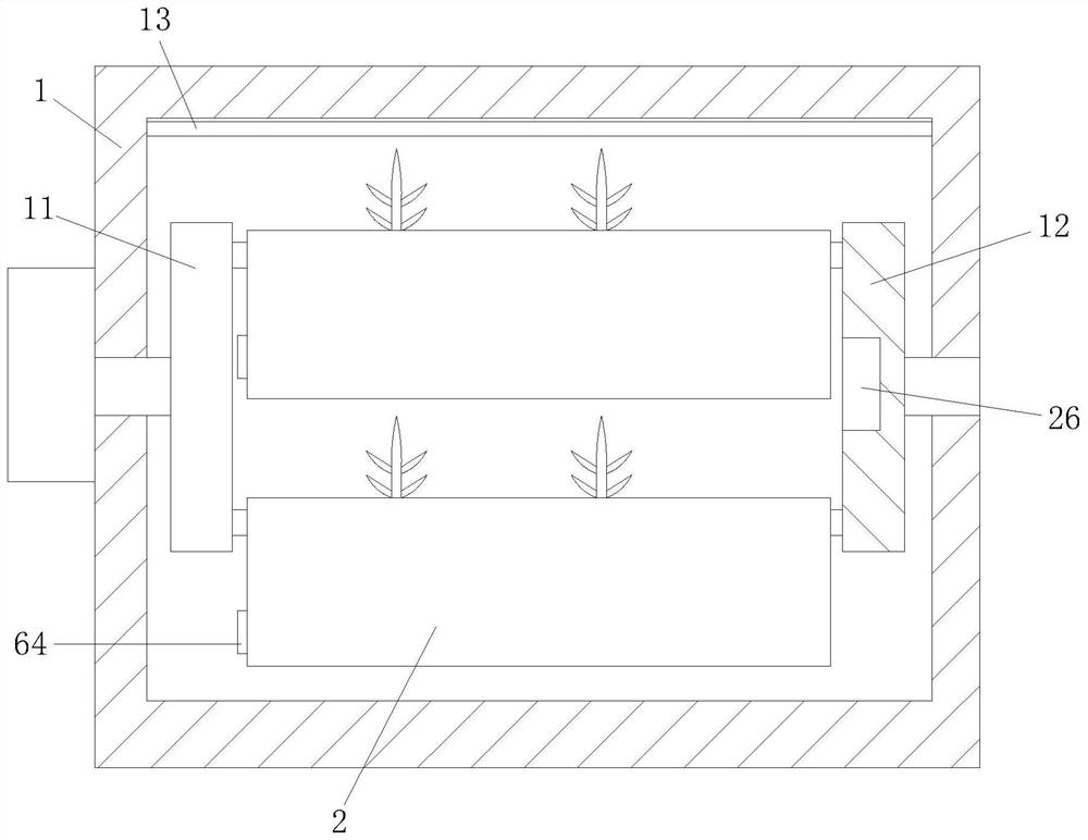 A kind of seedling cultivation technology without soil