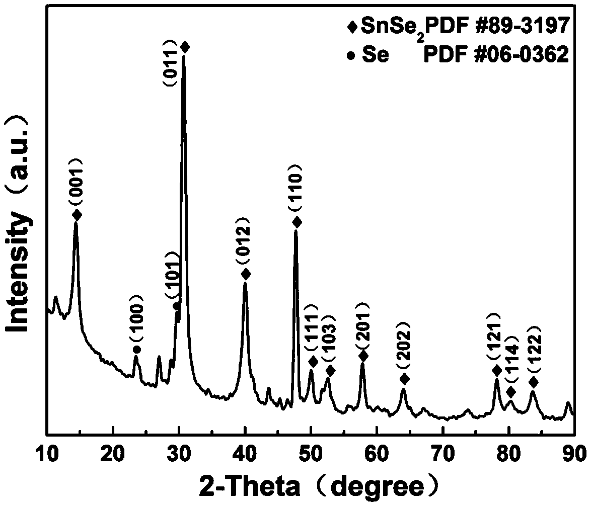 Nitrogen dioxide gas sensor containing petal-like SnSe2
