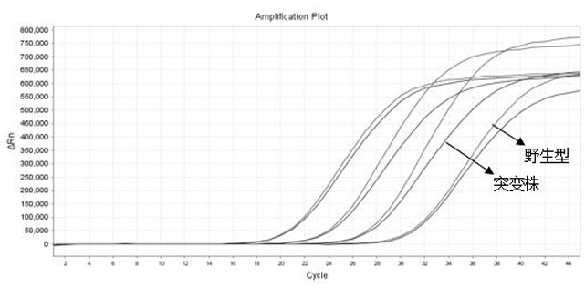 A novel coronavirus and its delta mutant strain detection kit and detection method thereof