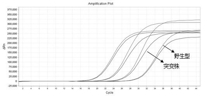 A novel coronavirus and its delta mutant strain detection kit and detection method thereof