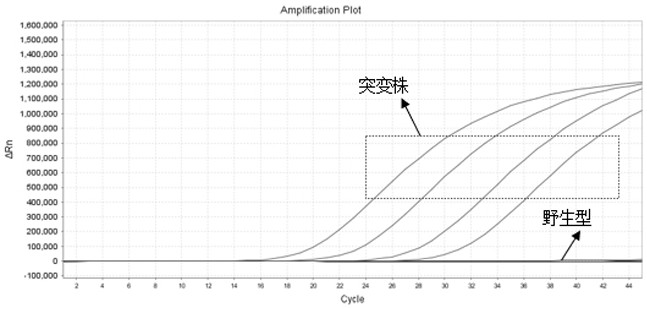 A novel coronavirus and its delta mutant strain detection kit and detection method thereof