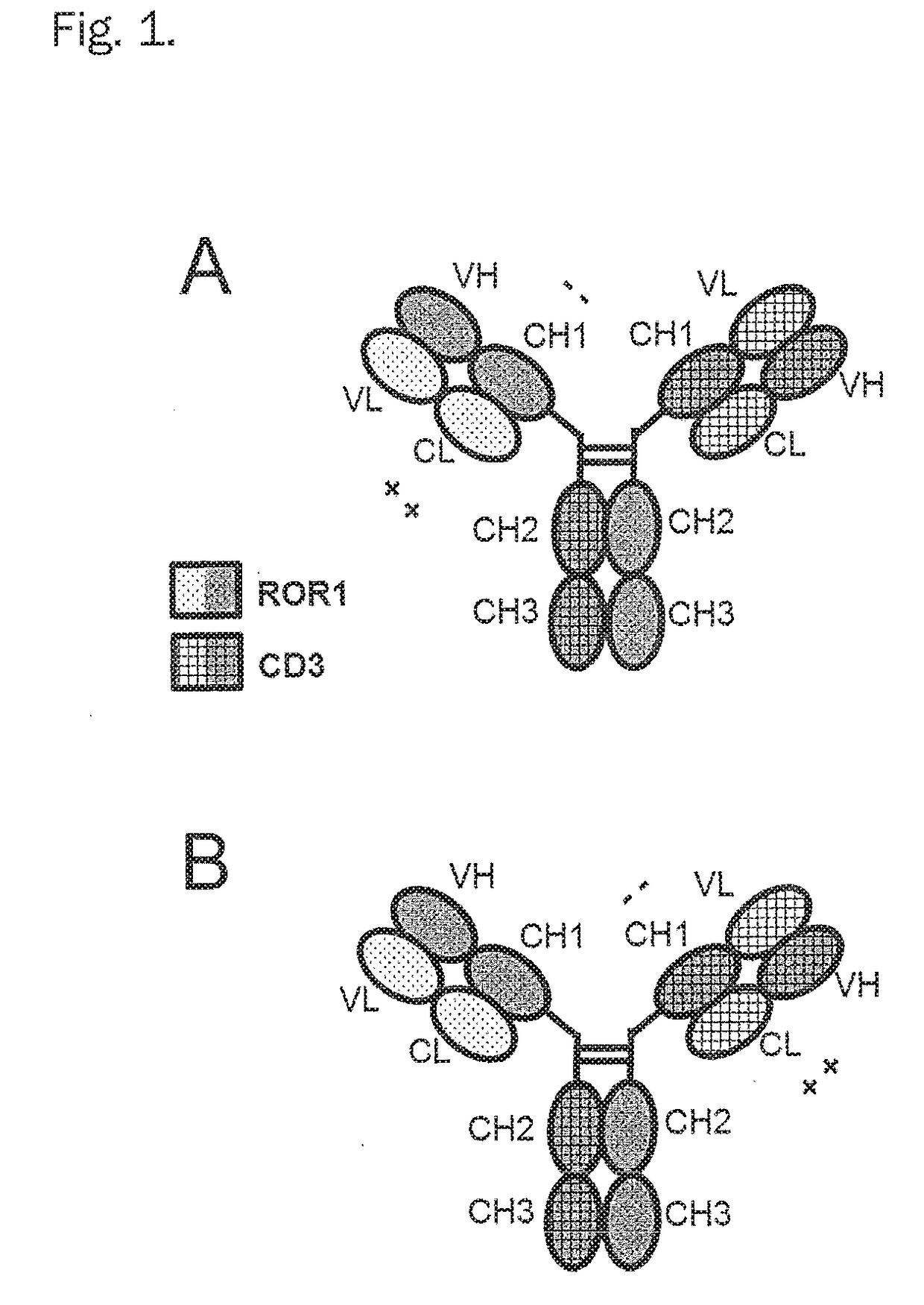 Bispecific antibodies against cd3epsilon and ror1