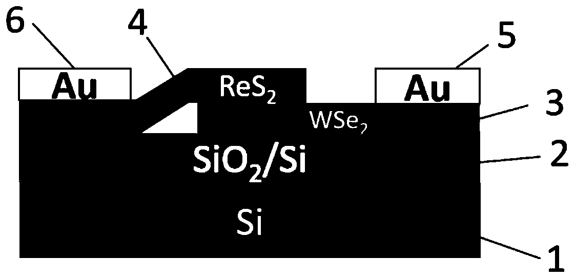 Photoelectric device based on rhenium disulfide/tungsten diselenide heterojunction and preparation method