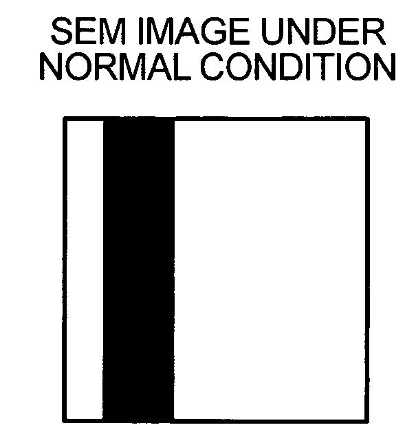 Method and apparatus for collecting defect images