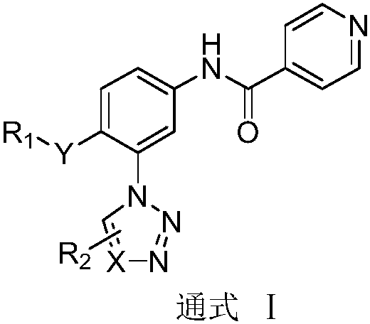 N-(3-azolylphenyl) isonicotinamide compounds as well as preparation method and application thereof