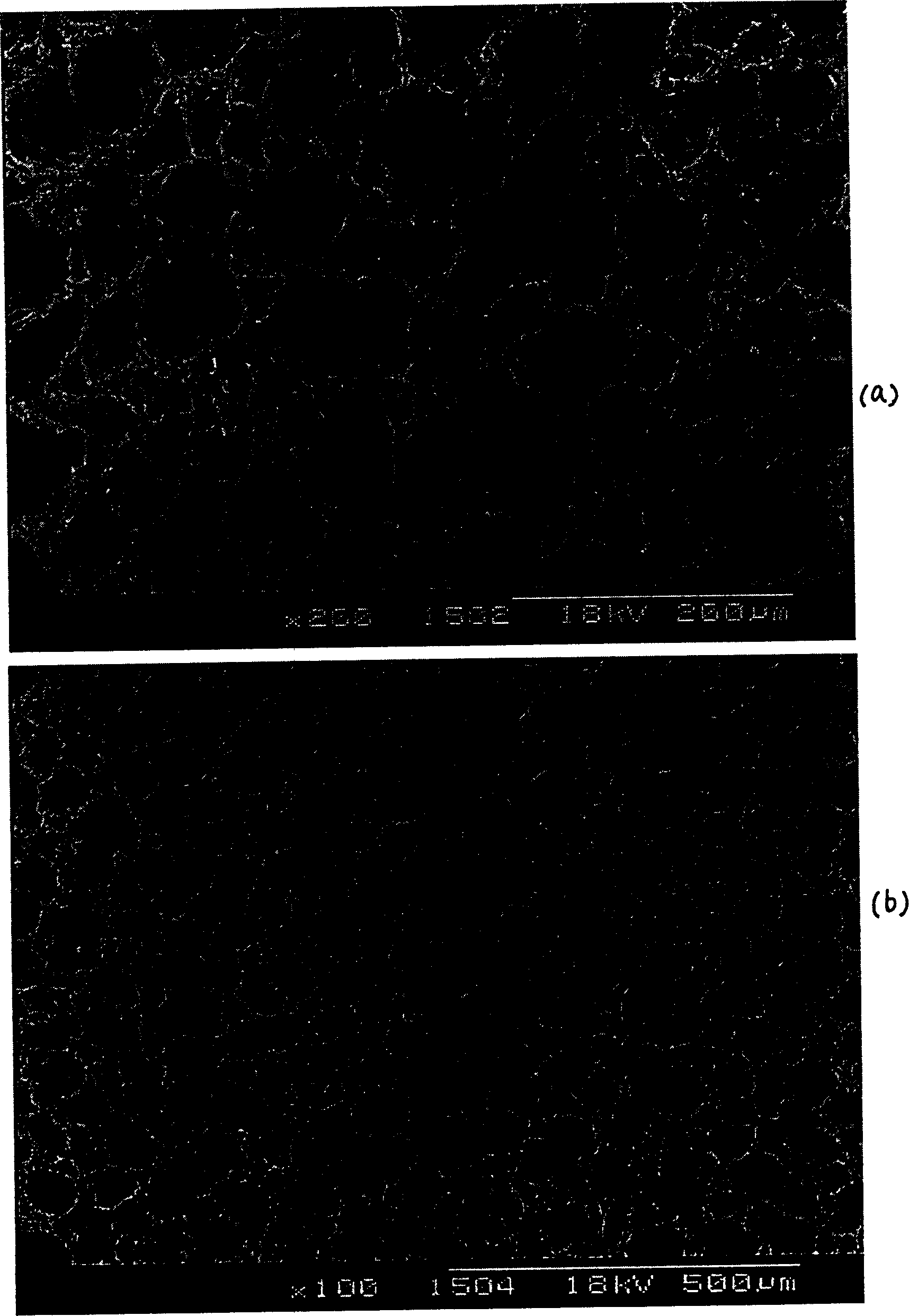 Method for preparing organic and inorganic nanometer composite organization engineering stent material by using thermal phase separation