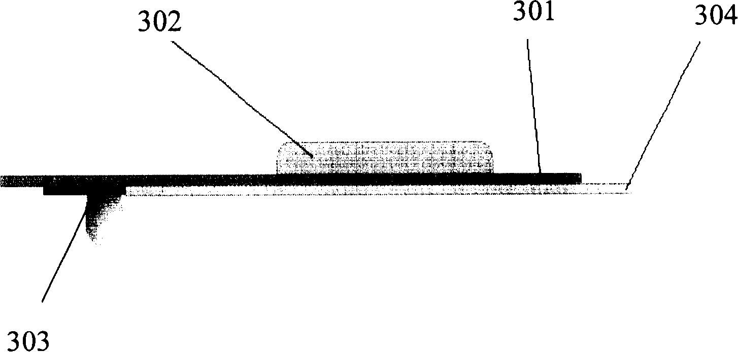 Bio-electrical impedance measuring method and apparatus