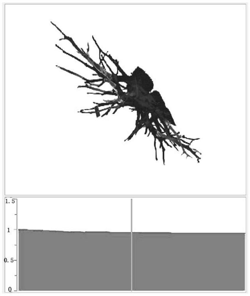 Vascular sorting method based on pulmonary artery CT images