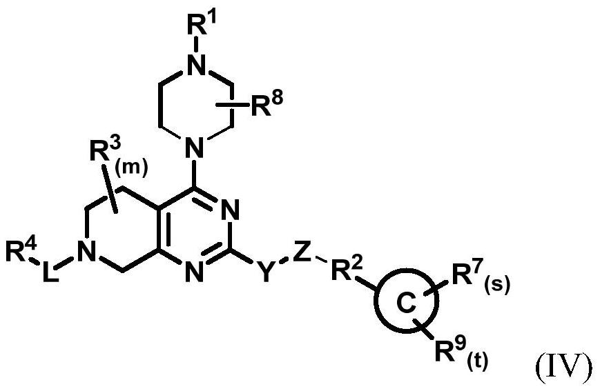 Alkoxy alkyl substituted heterocyclic group inhibitor as well as preparation method and application thereof