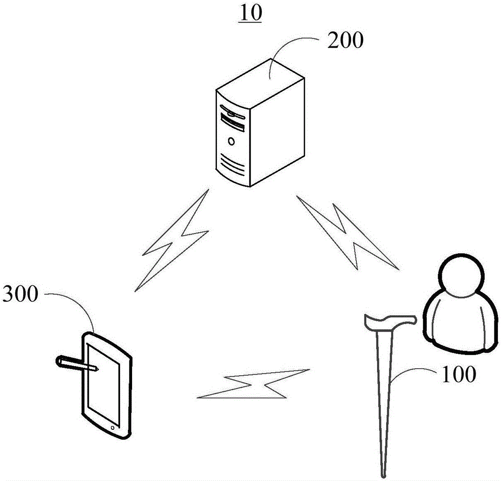 Walking stick system and data processing method