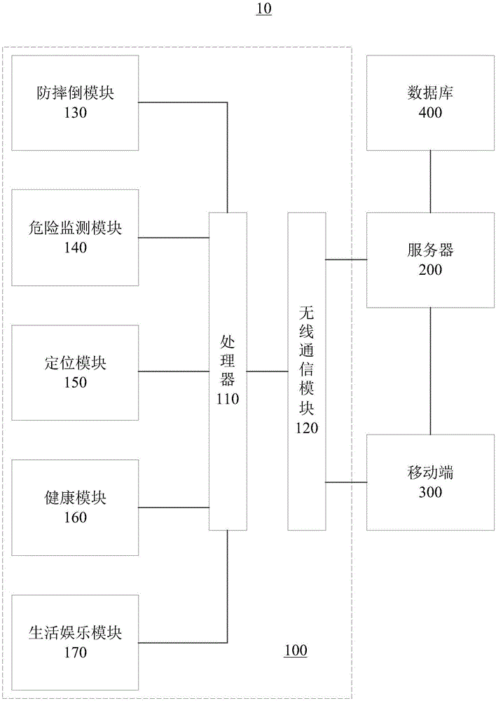 Walking stick system and data processing method