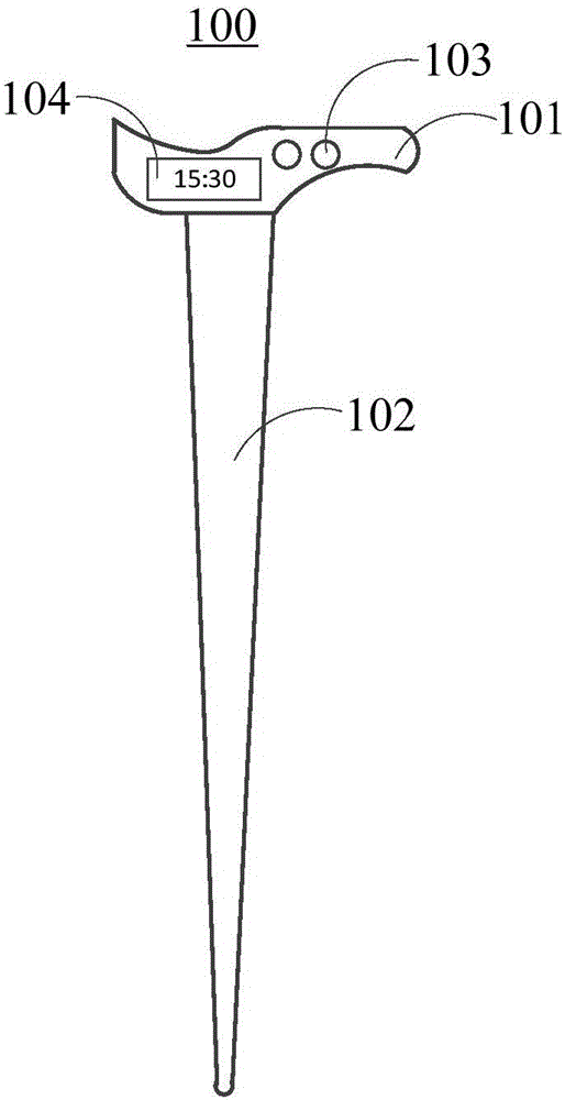 Walking stick system and data processing method