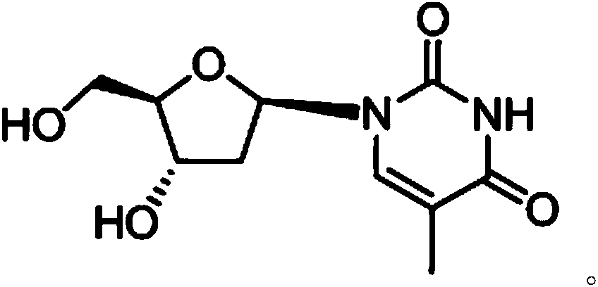 A kind of synthetic method of β-thymidine