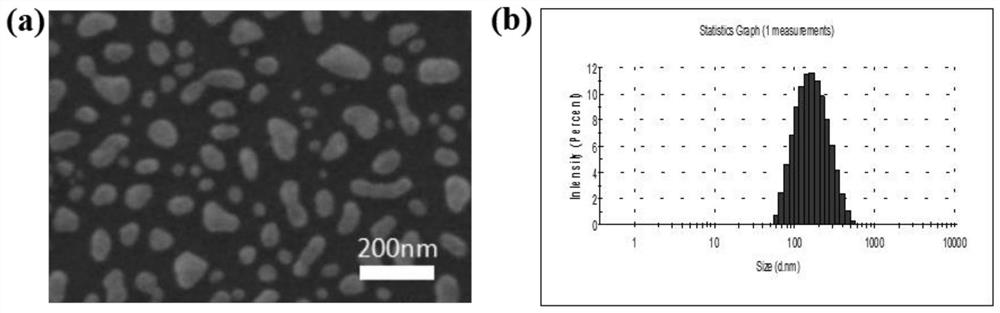 A core-shell nano-medicine for in situ visualized treatment of tumors and its preparation method