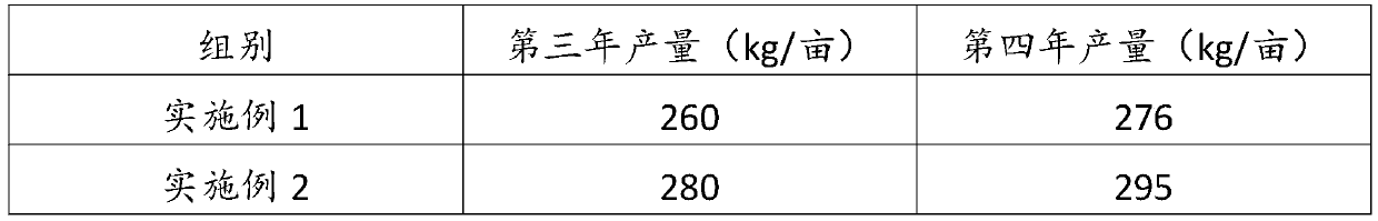 Apricot tree planting method