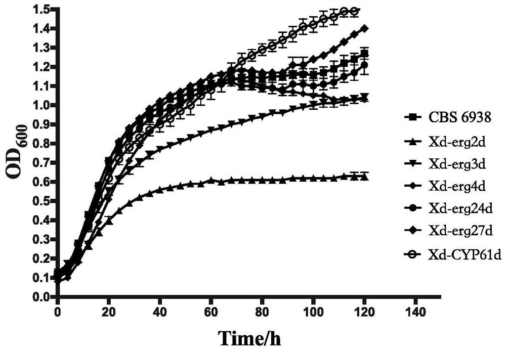 A kind of method for improving astaxanthin production of Phaffia rhodozyma